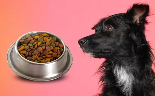 Slippery elm bark powder for dogs dosage