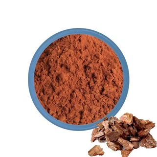 Chiết xuất vỏ cây thông
