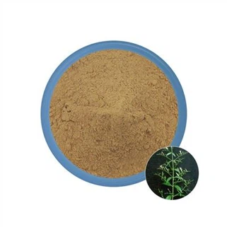Andrographis Paniculata Extract