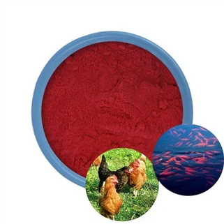 Bột Astaxanthin 10%