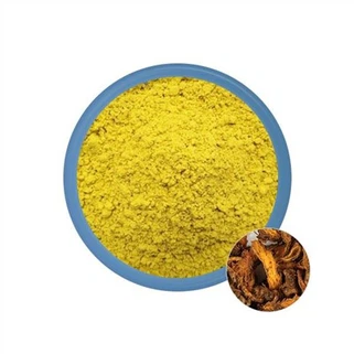 Số lượng lớn bột Berberine