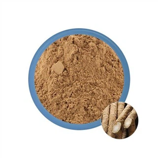 Chiết xuất cây ngưu bàng