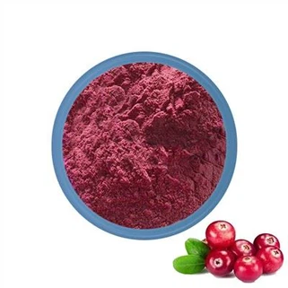 Bột nam việt quất