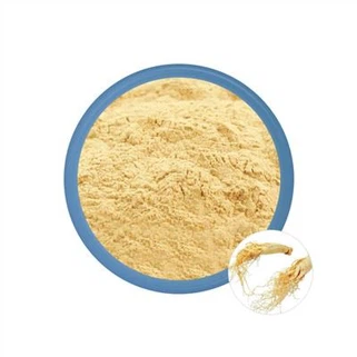 Bột chiết xuất nhân sâm