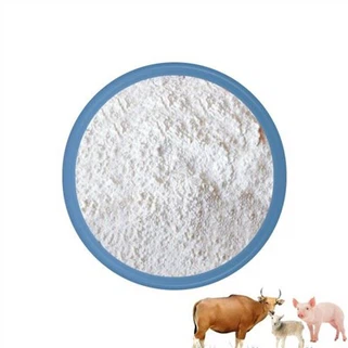 Bột Ivermectin