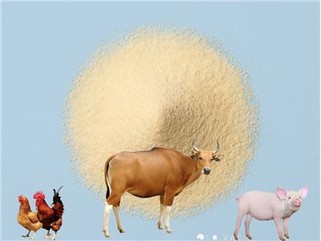 Bột whey ngọt