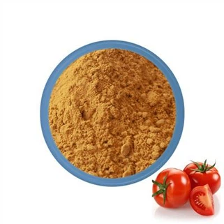 Bột cà chua
