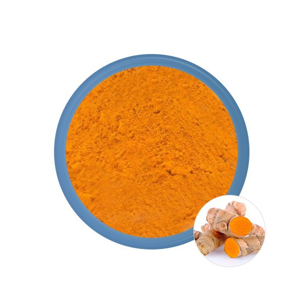 Curcumin Powder Bulk