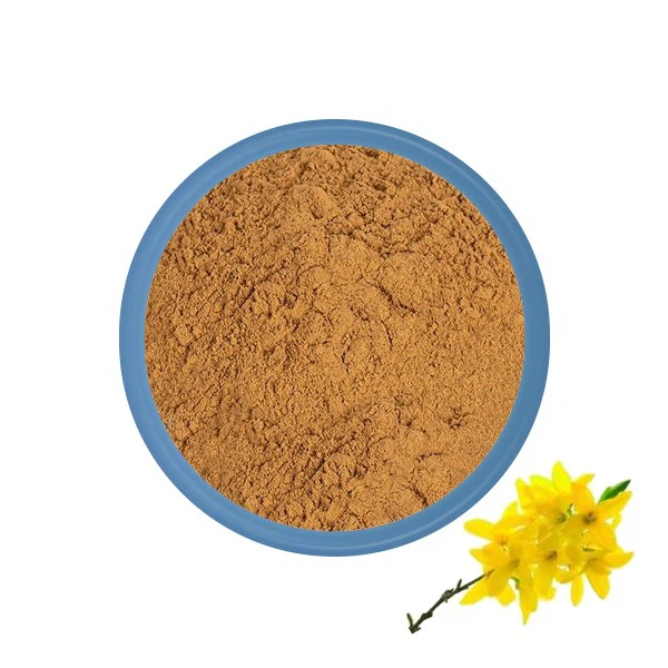 Forsythia Suspensa Ekstrakt