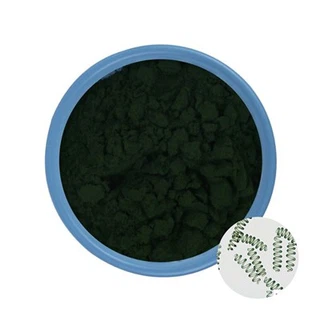 Bột tảo xoắn