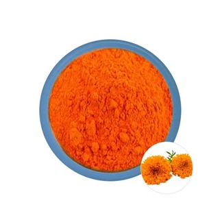 Các nhà sản xuất chiết xuất hoa cúc vạn thọ