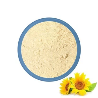Bột Lecithin hướng dương